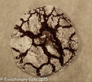 Chocolate cookies