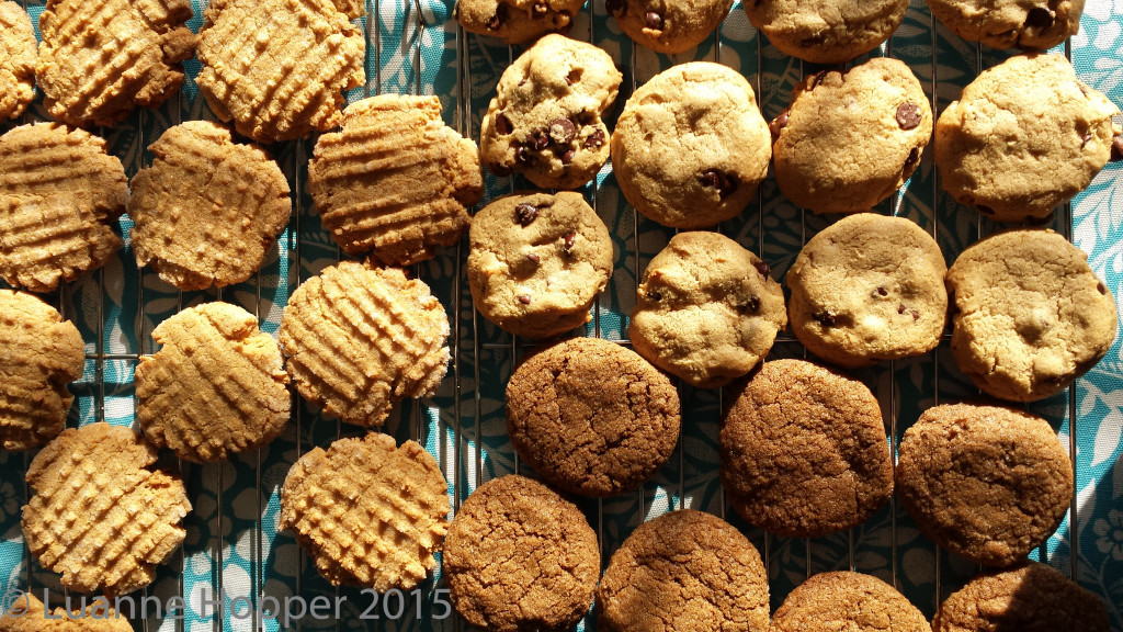 Chocolate Chip, Peanut Butter and Molassas Cookies