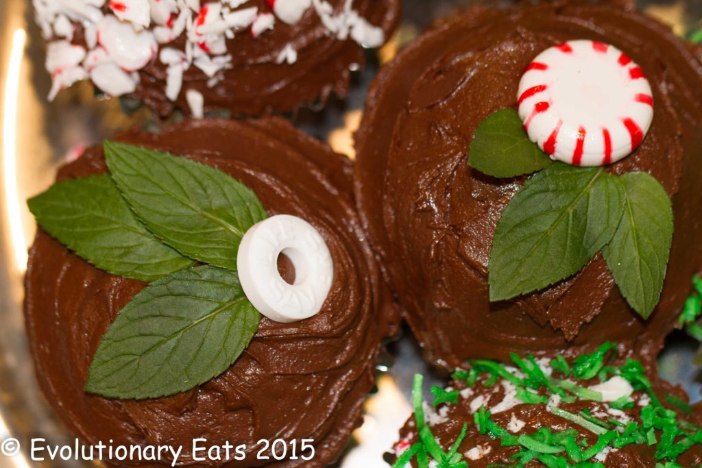 This image has an empty alt attribute; its file name is Mint-cupcakes3-1024x683.jpg