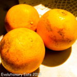 Texas Oranges 1