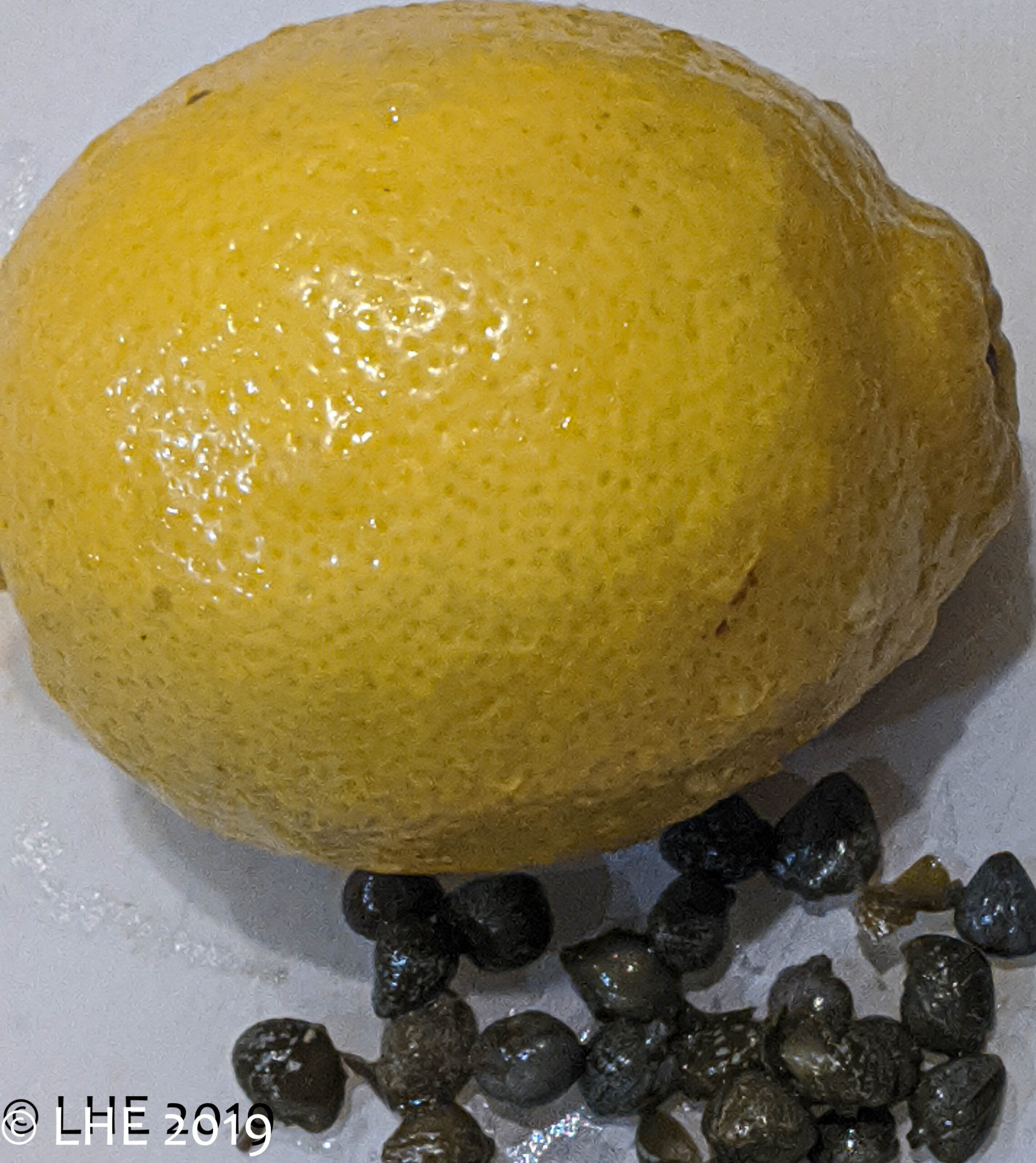 Lemon-and-Capers-1-of-1 | Evolutionary Eats